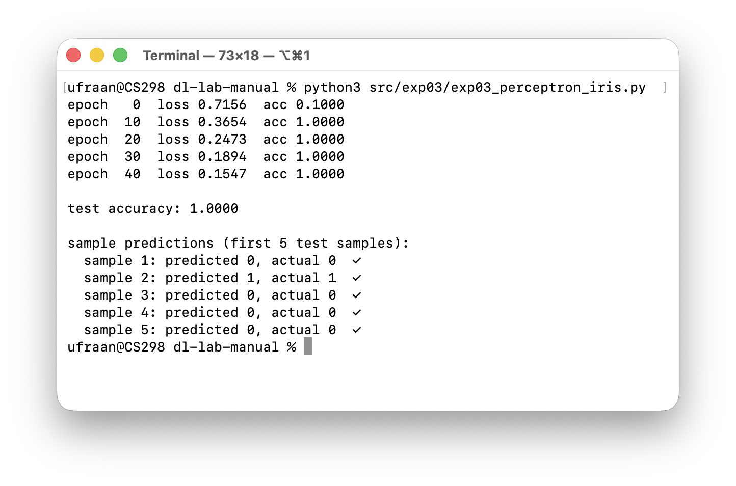 Perceptron output