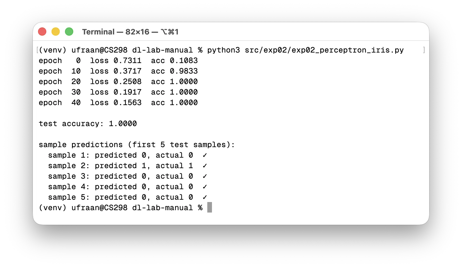 Perceptron output
